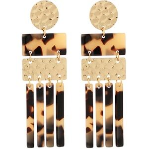 Fringe Acylic & Hammered Multi Shape Earrings